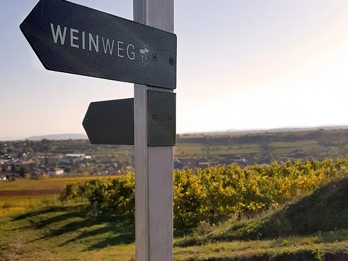 Ein Ausflug Am Weinweg Langenlois.jpg