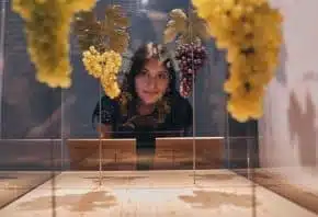 A woman is looking at different grape varieties displayed in a glass cabinet at the Pressoria wine museum.