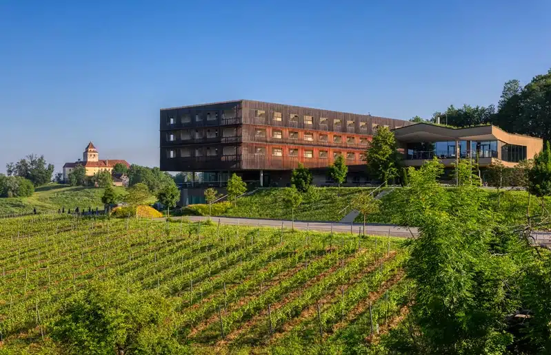Hotel Südsteiermark umgeben von Weingärten