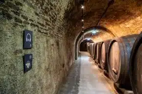 Cellar corridor with barrels and signs