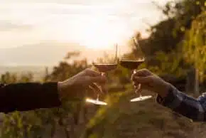 Dégustation de vin rouge dans le vignoble