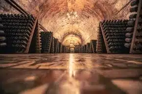 wine cellar