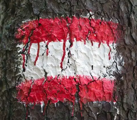 Wanderweg Markierung auf Baum