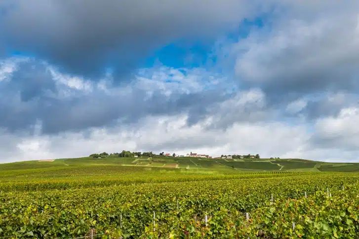 View of Mutigny from vineyards