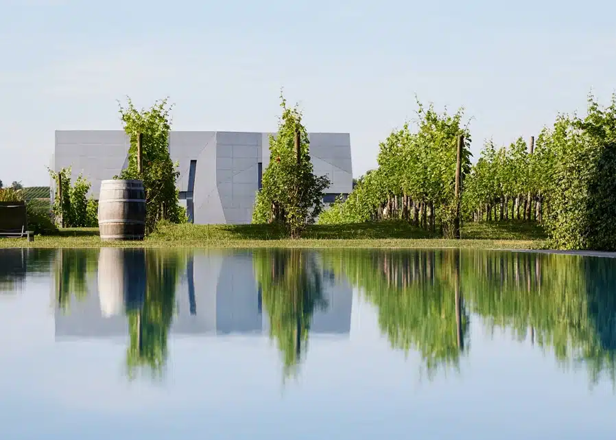 pool view at the Weinwelt