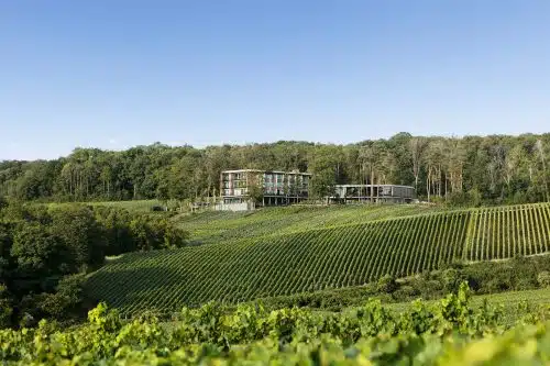 Das Hotel LOISIUM Champagne auf einem Hügel voll Weinreben