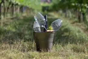 Wine.Bucket steht auf der Sommerwiese im Vineyard